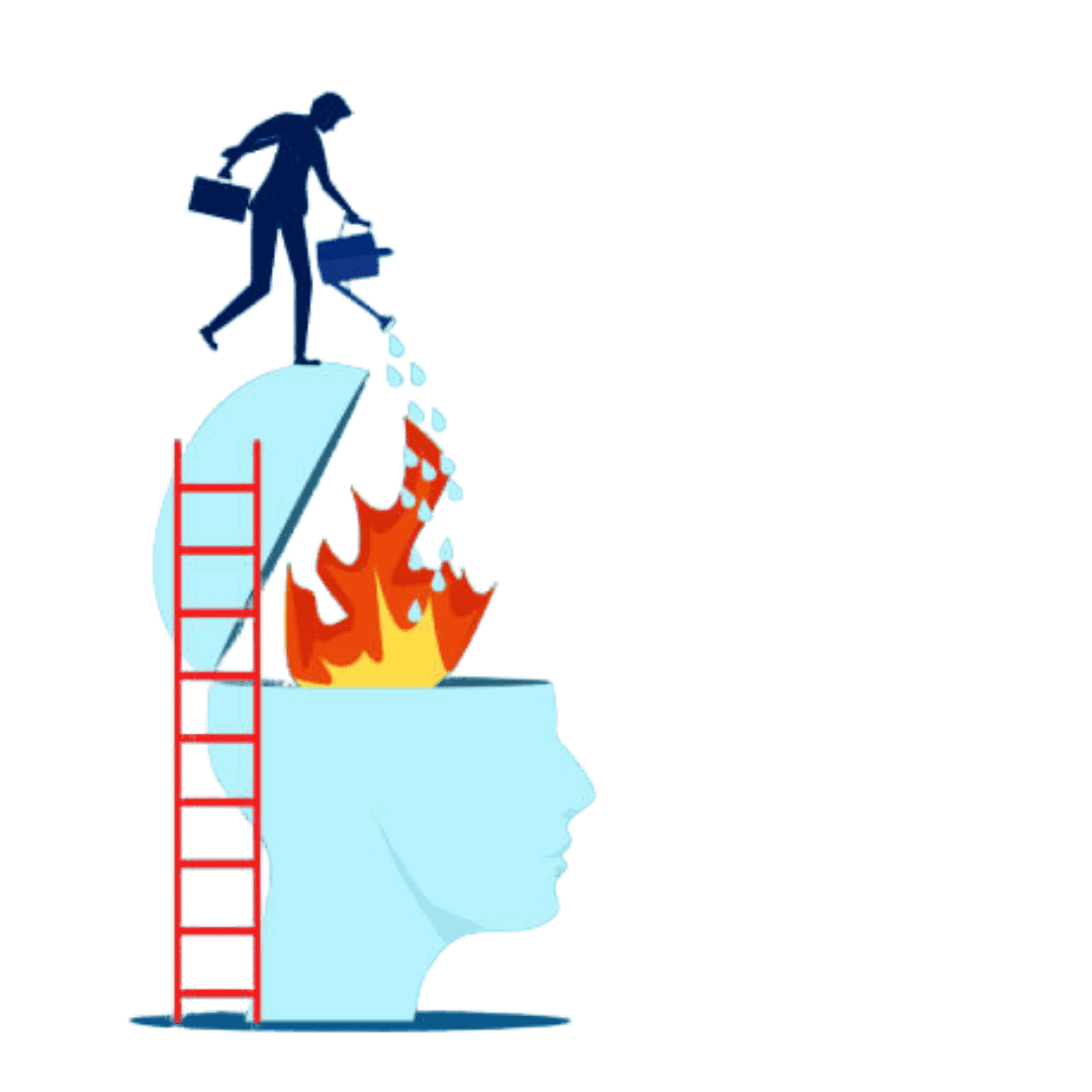 court courses emotion regulation