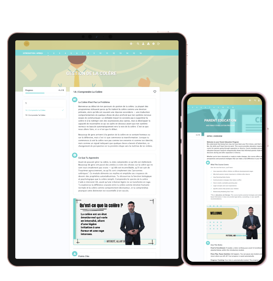 Untitled design Court-Approved Programs Online